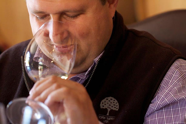 Winemaker, Luc Morlet